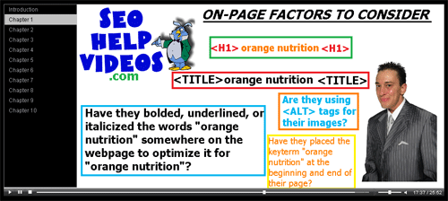 seo help